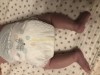 16361 Pampers Подгузники Premium Care для новорожденных р.2 (4-8 кг) 160 шт. от пользователя Nina