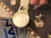70946 NAN 3 Supreme Сухое детское молочко с олигосахаридами для защиты от инфекций 400 г от пользователя Наталья